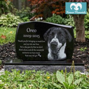 Black granite pet memorial headstone for Oreo (2009–2025) engraved with a detailed portrait of a black and white dog with a white blaze on her face, placed in a peaceful backyard garden setting.