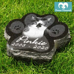 Black granite paw-shaped pet memorial stone engraved with a portrait of a cat named Pinkie and the dates 2003–2020, placed on grass in an outdoor garden setting.