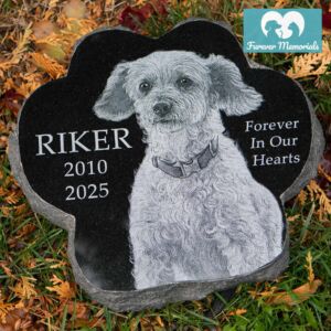 Black granite paw-shaped pet memorial for Riker (2010–2025) engraved with a detailed portrait of a curly-haired dog, placed naturally in grass as a garden grave marker.