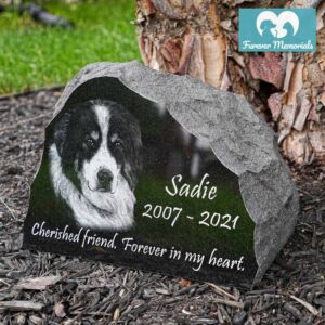 Rustic black granite pet memorial engraved with a portrait of Sadie the dog, including the inscription “Cherished friend. Forever in my heart.” and the dates 2007–2021.