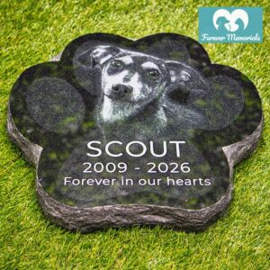 Black granite paw-shaped pet memorial for Scout (2009–2026) engraved with a detailed portrait of a small mixed-breed dog, placed naturally on grass as a garden grave marker.