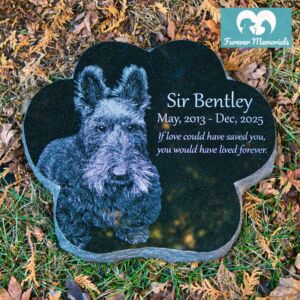 Black granite paw-shaped pet memorial for Sir Bentley engraved with a detailed portrait of a shaggy terrier-like dog with upright ears, placed naturally in grass and autumn leaves.