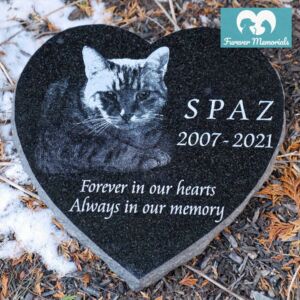 Heart-shaped black granite cat memorial stone engraved with a portrait of a cat named Spaz with the dates 2007–2021, placed in an outdoor garden setting.