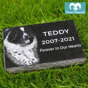 Black granite flat pet memorial marker engraved with a portrait of Teddy the dog, including the inscription “Forever In Our Hearts” and the dates 2007–2021, placed in green grass.