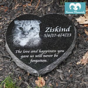 Black granite heart-shaped pet memorial engraved with a portrait of Ziskind the cat and the inscription “Ziskind 5/6/17 – 6/4/23,” placed in a garden setting.